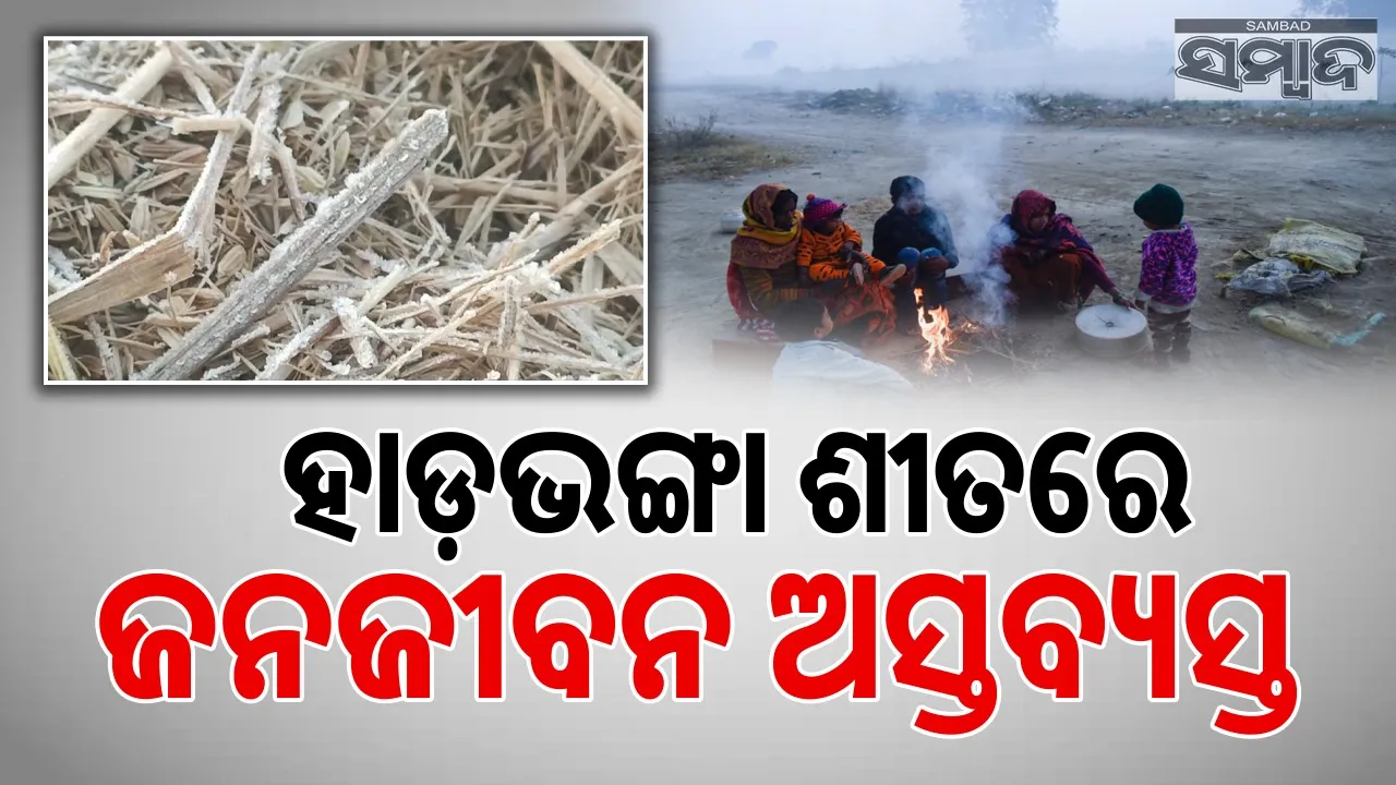 Cold Waves: ଶୀତ ଲହରୀ ସହ ତୁଷାରପାତ ଜାରି; ଘୁ. ଉଦୟଗିରିରେ ପହଞ୍ଚିଲା ପାରଦ ୨.୬ଡିଗ୍ରି