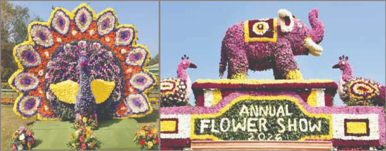  Flower Exhibition: ମନମୋହିଲା ପୁଷ୍ପ ପ୍ରଦର୍ଶନୀ
