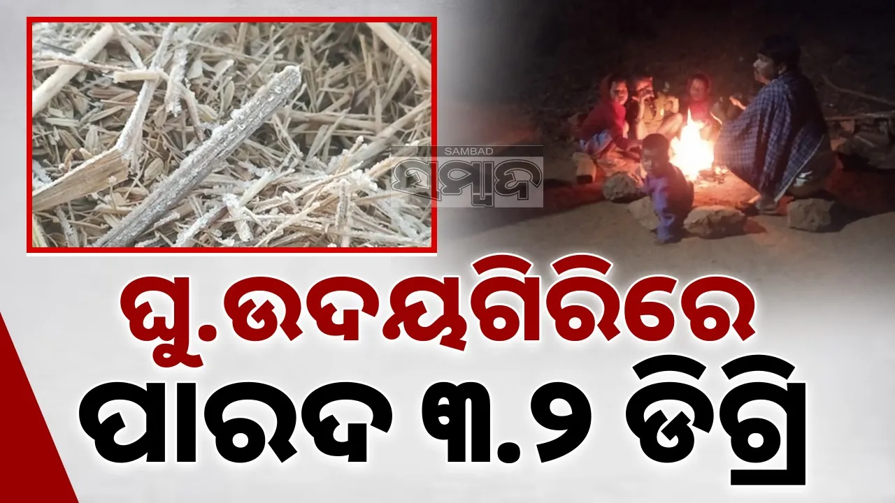  Cold Wave: ଦିନରେ କୋହଲା ପାଗକୁ ଥଣ୍ଡା ପବନ, ରାତିରେ ହାଡ଼ଭଙ୍ଗା ଶୀତ
