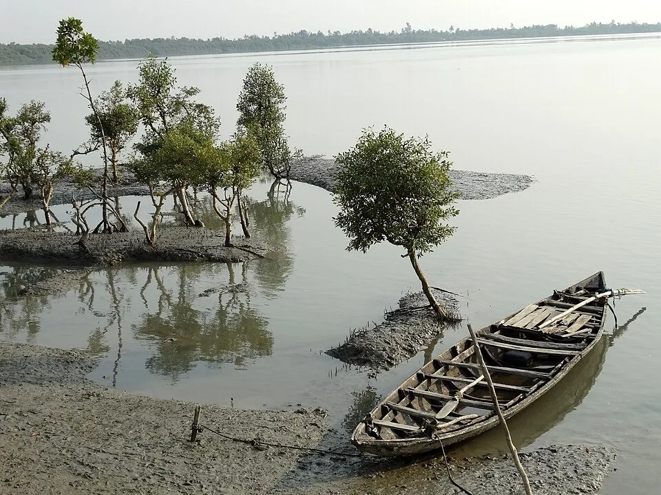  Photograph: (internet) 