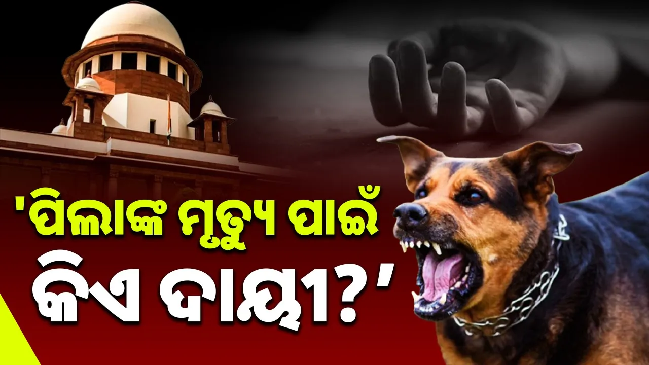  Stray dog case Photograph: (sambad.in) 