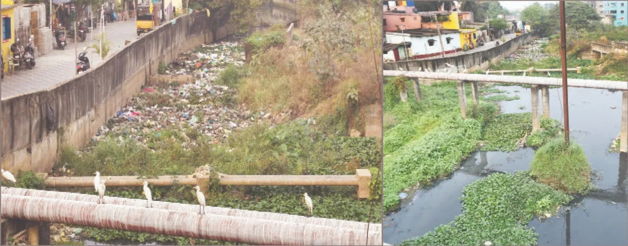  gangua canal: ଗଙ୍ଗୁଆର ତଣ୍ଟି ଚିପି ସାରିଲେଣି: ନିଷ୍କାସନ ପଥରେ କୁଢ଼ କୁଢ଼ ଆବର୍ଜନା, ଯେଉଁଠି ପାରୁଛନ୍ତି ଅଳିଆ ଫିଙ୍ଗୁଛନ୍ତି