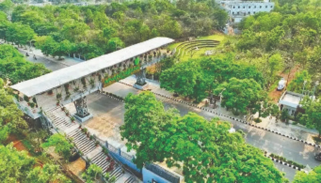  Anandavan: ଆନନ୍ଦବନ ହାତ ଛାଡ଼ିଲା ଓଏମସି