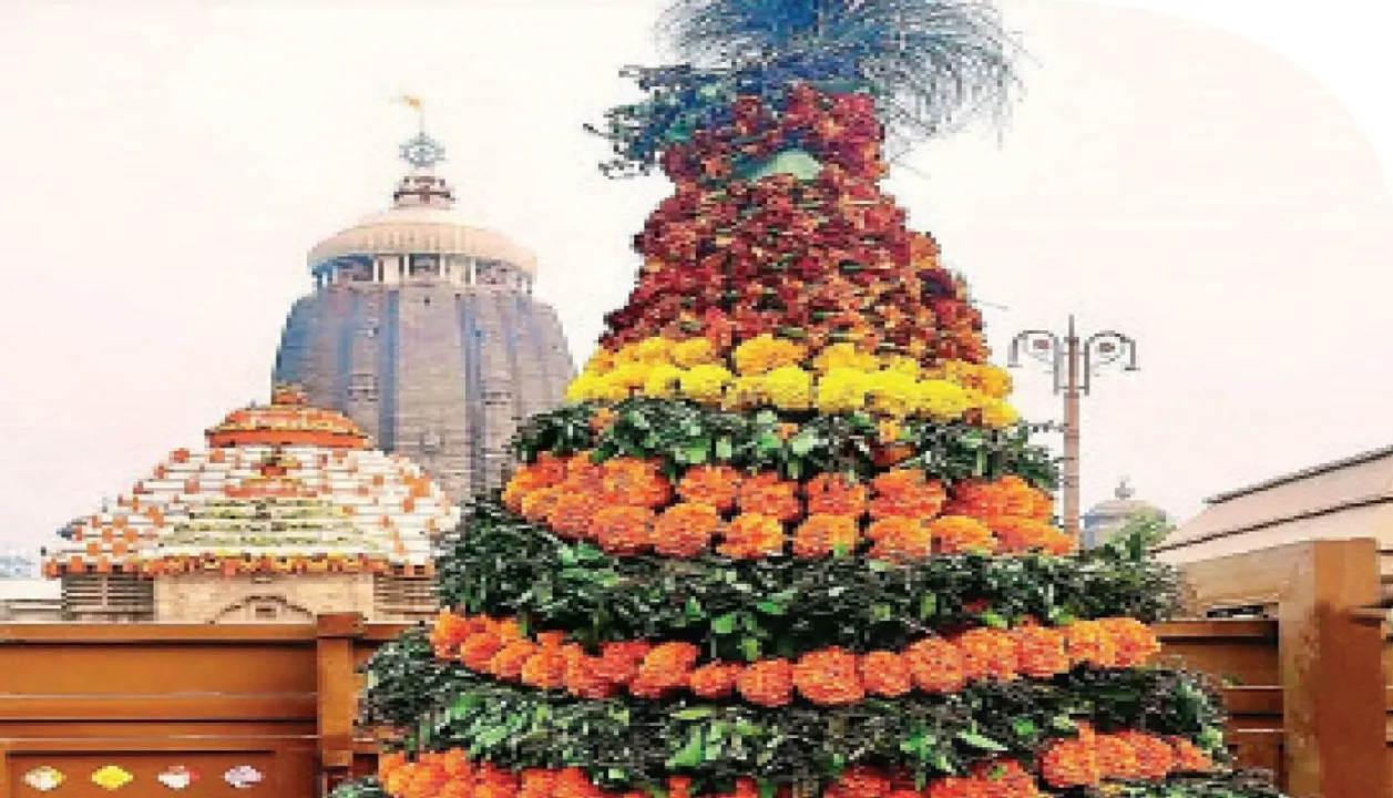  lord jagannath:  ନବ‌ାଙ୍କ କଥା