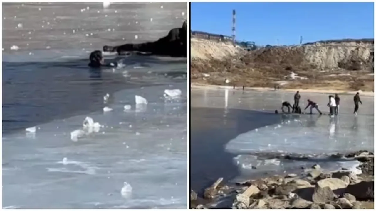  tourist Photograph: (photo: social media) 