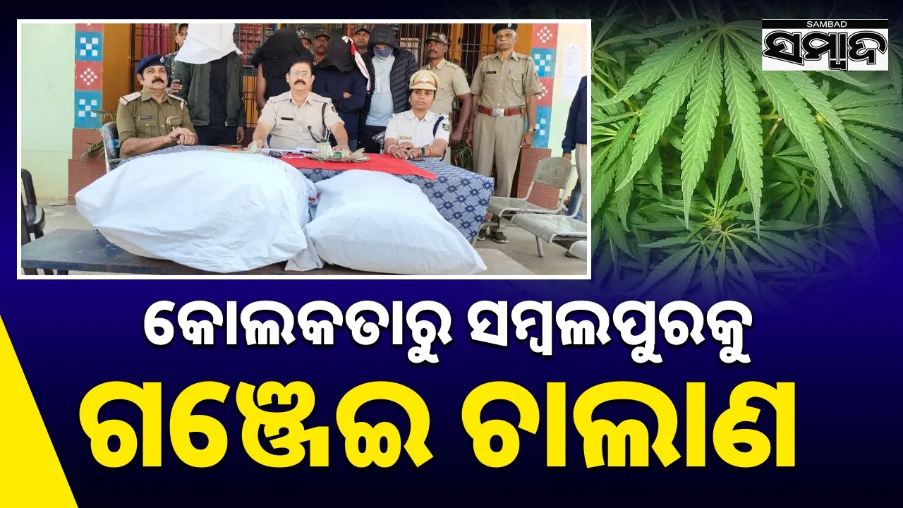  Ganja Smuggling: ଚାଲାଣ ବେଳେ ମାଡ଼ି ବସିଲା ପୁଲିସ: ଗଂଜେଇ ସହ କାର, ନଗଦ ଟଙ୍କା ଜବତ