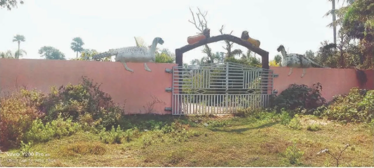  Manik Sagar Park: ମାଣିକ ସାଗର ପାର୍କ, ଆରମ୍ଭରୁ ତାଲା ଝୁଲୁଛି