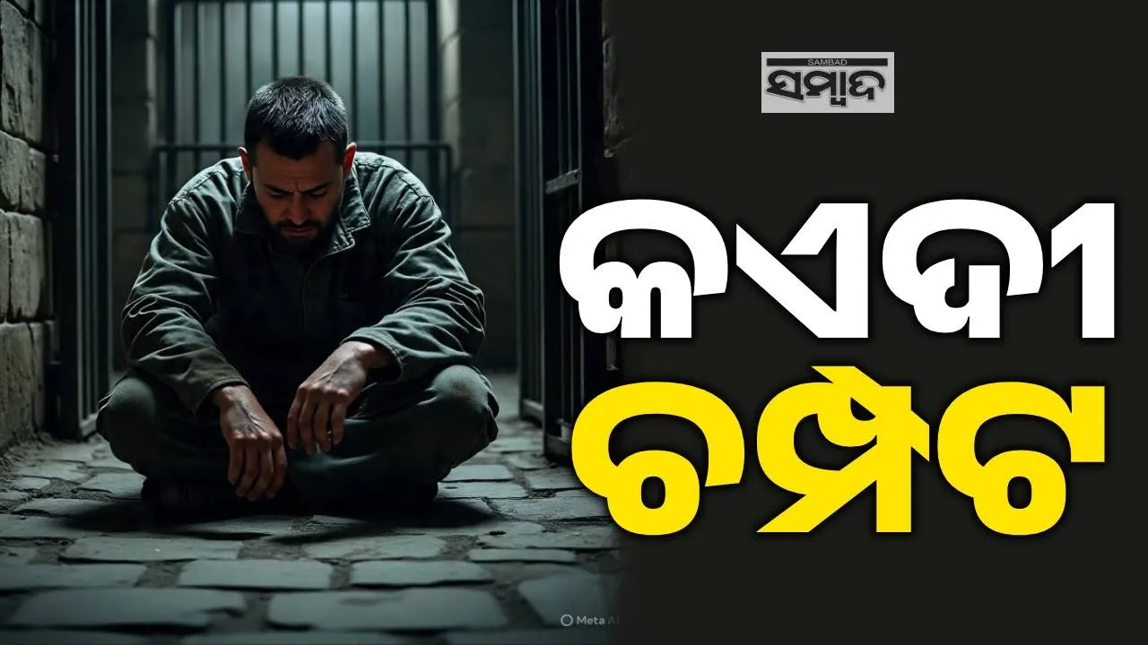  Syria Photograph: (sambad.in) 