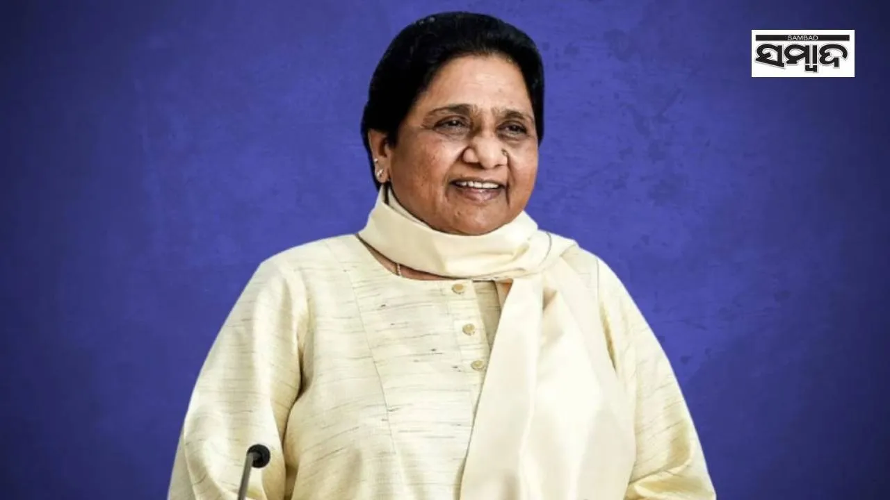  Mayawati Photograph: (sambad.in) 