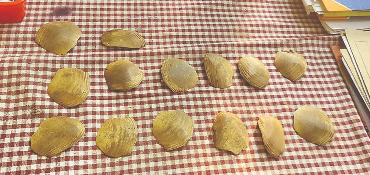  ପୁଲିସକୁ ଅଡ଼ୁଆ ବଜ୍ରକାପ୍ତା କାତି ତଦନ୍ତ ପରିସରଭୁକ୍ତ ହେବେ ଆଇଆଇସି: ଏସିଏଫ୍‌