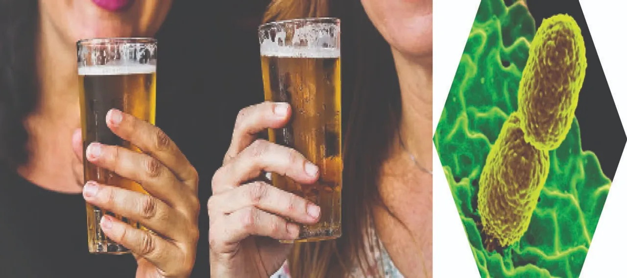  Drinking alcohol: ଗବେଷଣା ଗବାକ୍ଷ: ମଦ ନ ପିଇ ମାତାଲ୍!