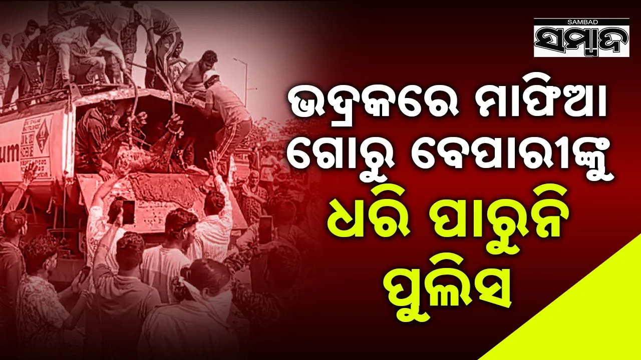  cow loaded tanker seized by Go Rakshyaks Photograph: (sambad.in) 