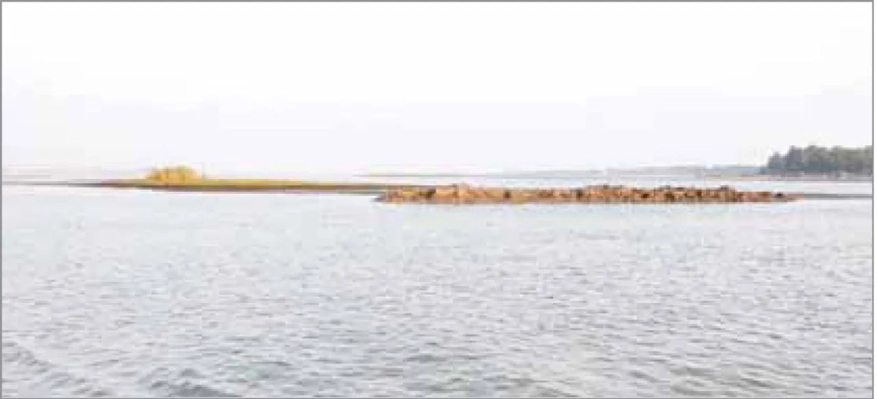  Dried chilika: ଶୁଖିଲା ଚିଲିକା, ଲାଖୁଛି ଭସାପୋଲ