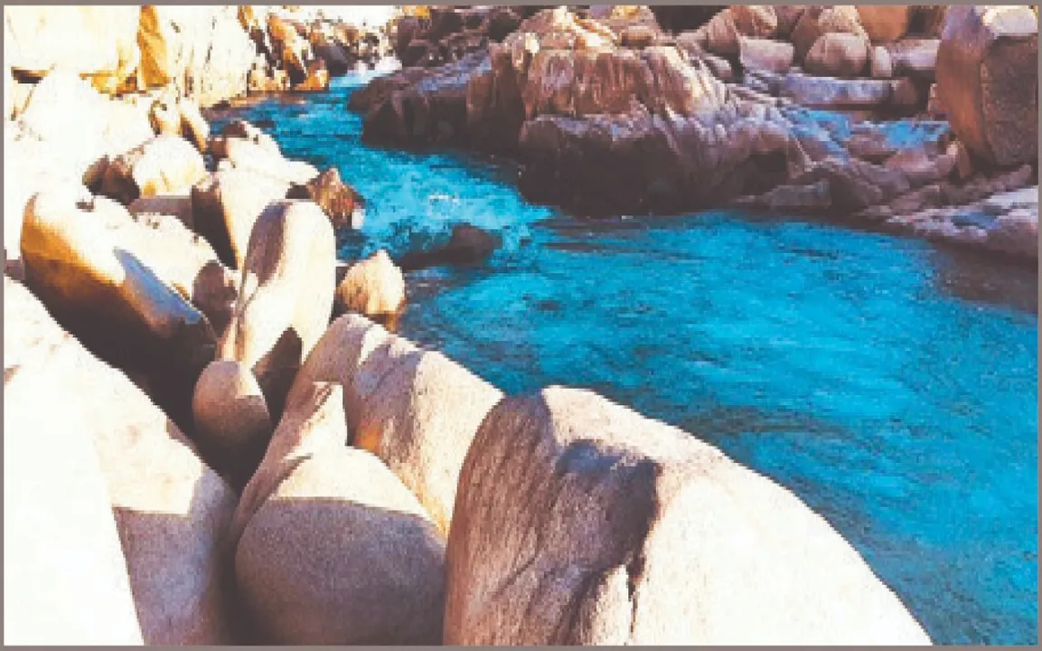  Picnic spot: ପିକ୍‌ନିକ୍‌ ସ୍ପଟ୍‌ ନେଉଛି ଜୀବନ: ୪୮ ମାସରେ ଗଲାଣି ୩୩୦ ଜୀବନ