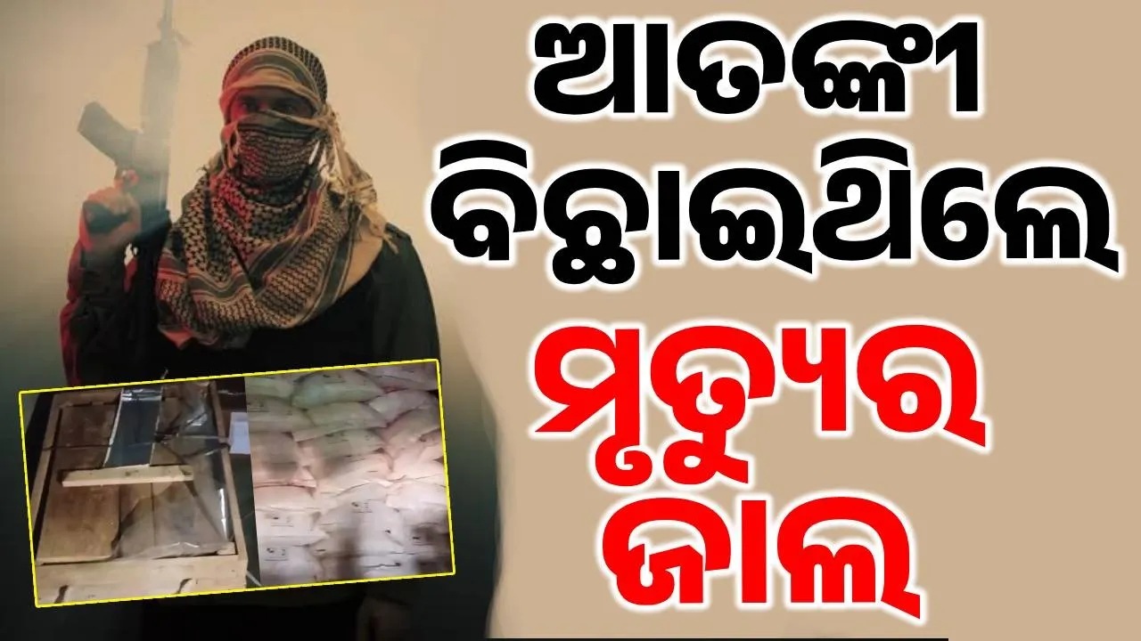  explosives seized Photograph: (sambad.in) 