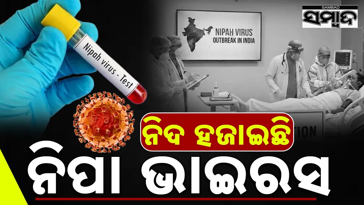  Nipah Virus Photograph: (sambad.in) 