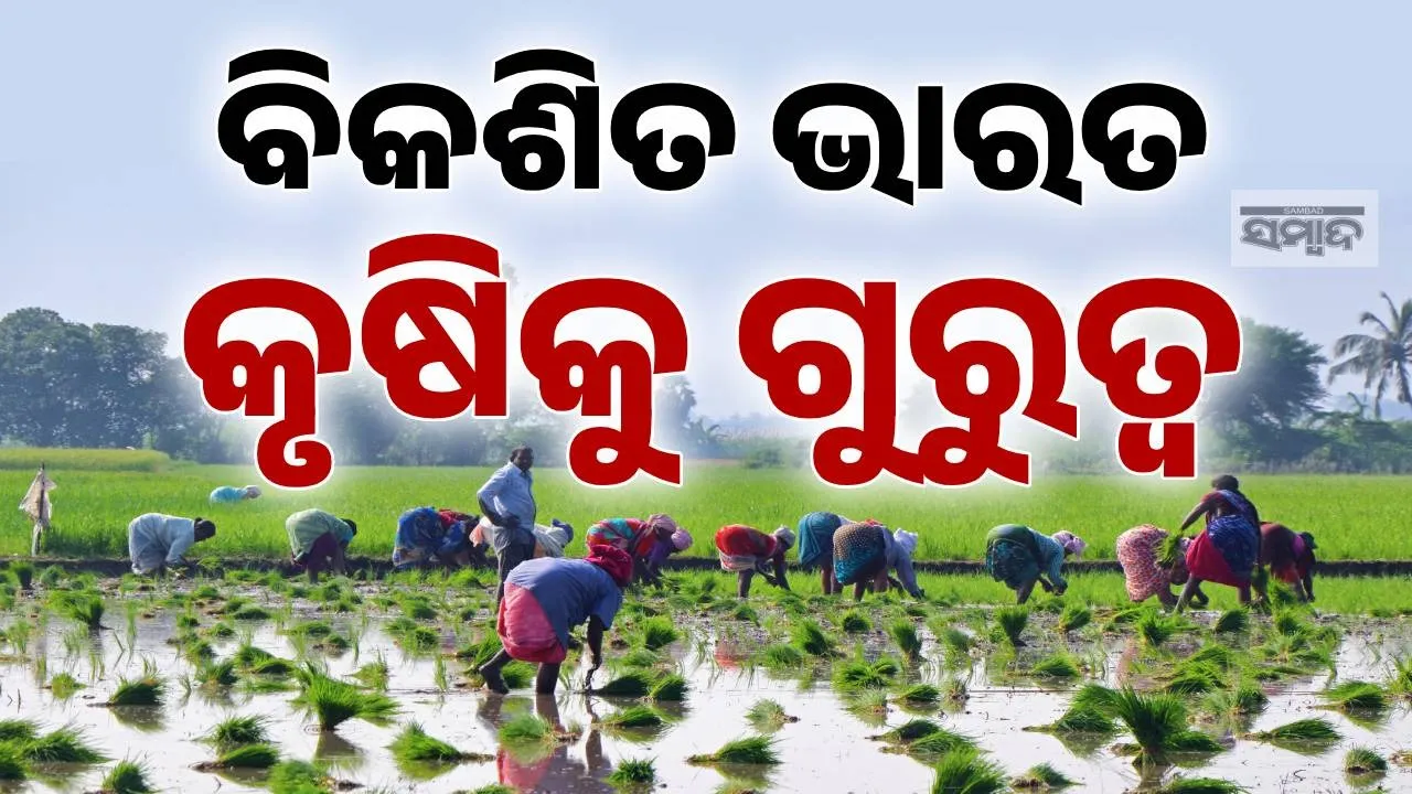  Economic Survey 2026 Photograph: (sambad.in) 