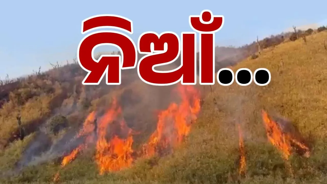  FIRE Photograph: (sambad.in) 