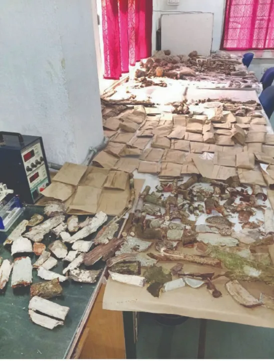  The famous 'Lichen': ଶିମିଳିପାଳରୁ ମହୌଷଧି ‘ଲାଇକେନ୍’ ଠାବ