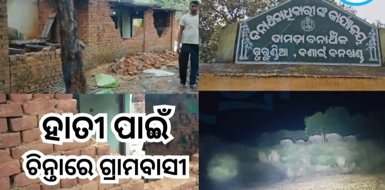  12 elephants destroy houses Photograph: (sambad.in) 