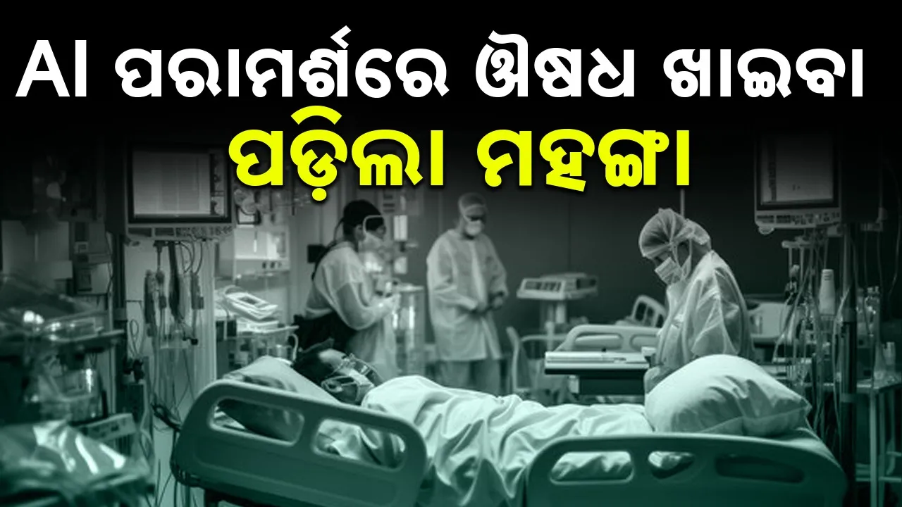  Photograph: (google) 