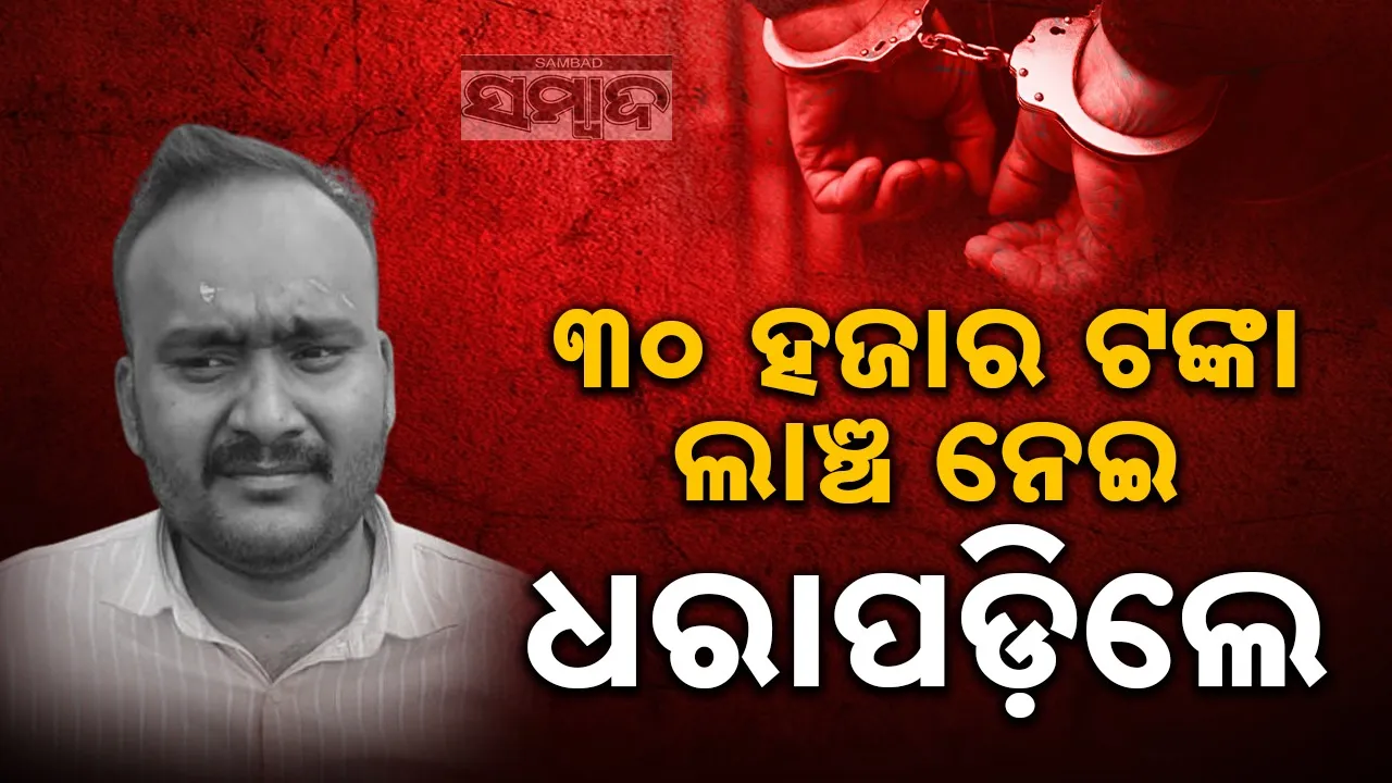  Vigilance Raid: କୁକୁଡ଼ା ଚାଷ ପାଇଁ ଲାଞ୍ଚ ନେଲା ବେଳେ ଫସିଗଲେ ସରକାରୀ ବାବୁ