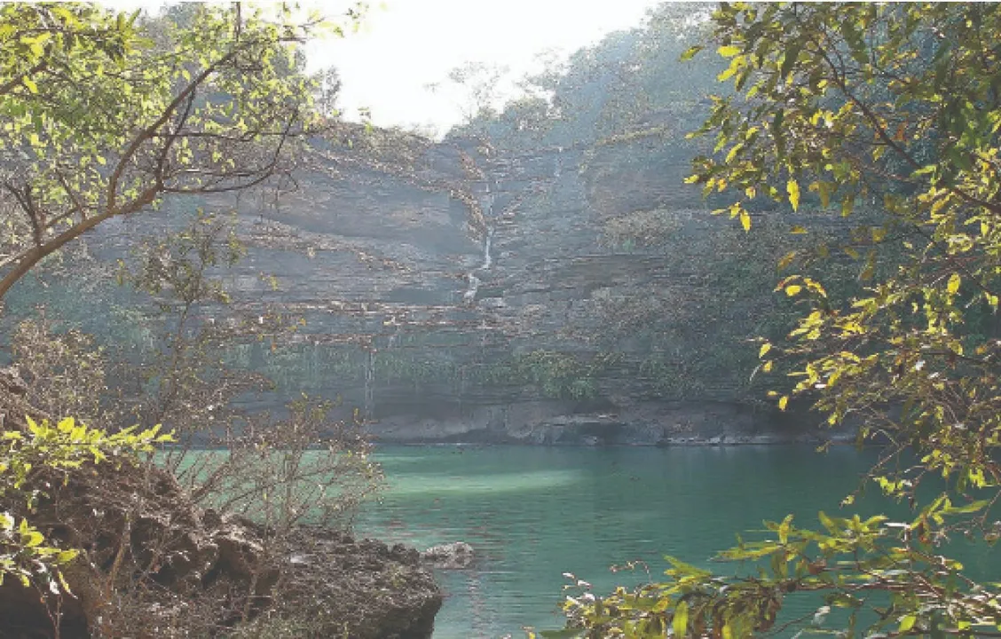  Research paper: ଗବେଷଣା ଗବାକ୍ଷ: ପରାଗ ରେଣୁ ସୂଚାଇଲା ୩୦୦୦ ବର୍ଷର ଜଳବାୟୁ ଇତିହାସ