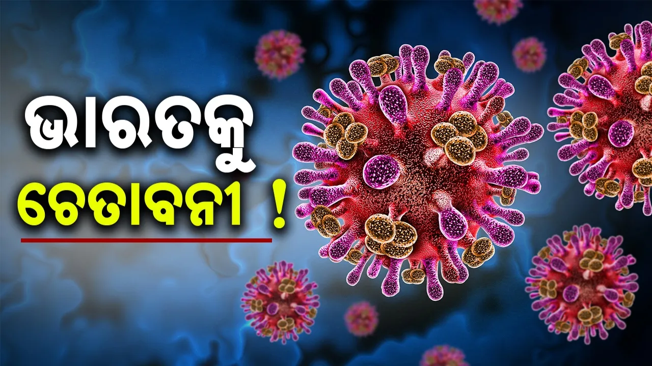  Nipah Virus: ନିପା ଭାଇରସ:ଭାରତକୁ ଡବ୍ଲୁଏଚ୍‌ଓ ମୁଖ୍ୟଙ୍କ ଚେତାବନୀ