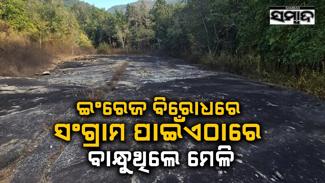  History: ଅଭୟାରଣ୍ୟ ମଧ୍ୟରେ ଅଲୋଡ଼ା ହୋଇରହିଛି ‘ବିଚାର ପଥର’