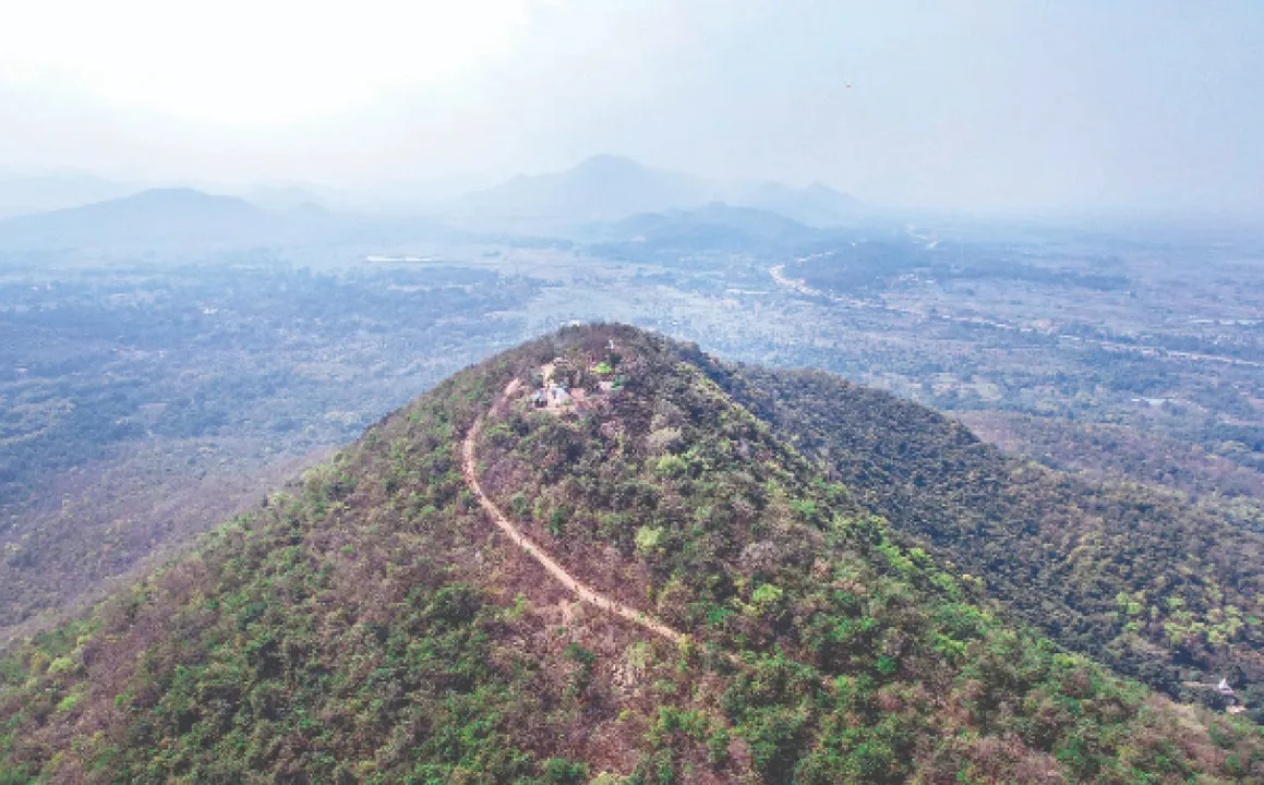  Ayurveda Institute in Angul: ଅନୁଗୁଳରେ ଆୟୁର୍ବେଦ ପ୍ରତିଷ୍ଠାନ ସ୍ବପ୍ନ: ସହାୟକ ହେବ ବିରଳ ବୃକ୍ଷରାଜି, ଯୁକ୍ତି ରଖିବାକୁ ବିଧାୟକଙ୍କ ପ୍ରସ୍ତୁତି