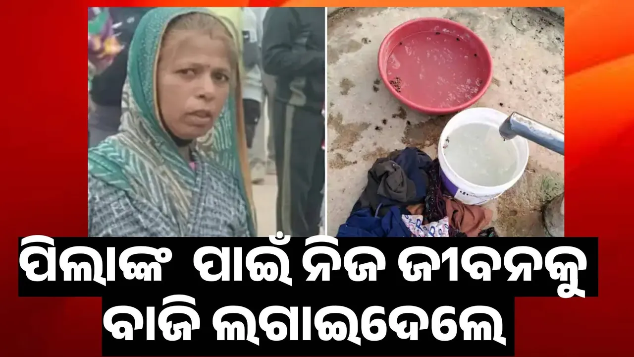  Anganwadi Cook Saves 20 Children From Bee Attack Photograph: (@sambad.in) 