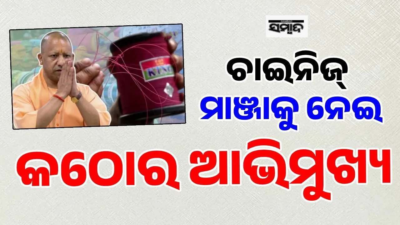  Kite Manja Photograph: (sambad.in) 