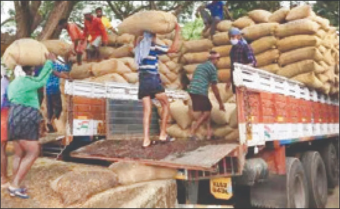  5,000 farmers waiting for tokens: ସରୁଛି ଅବଧି, ମଣ୍ଡିରୁ ଉଠୁନି ଧାନ: ଟୋକନ୍‌ ଅପେକ୍ଷାରେ ୫ ହଜାର ଚାଷୀ
