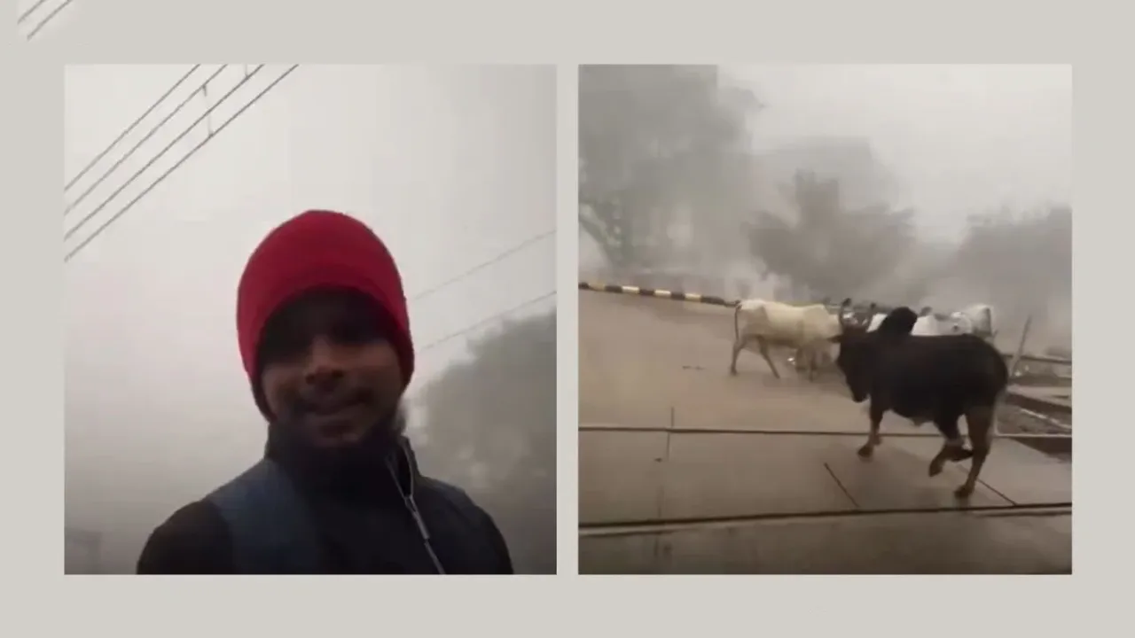  Brave Youth Saves Cows From Railway Track 