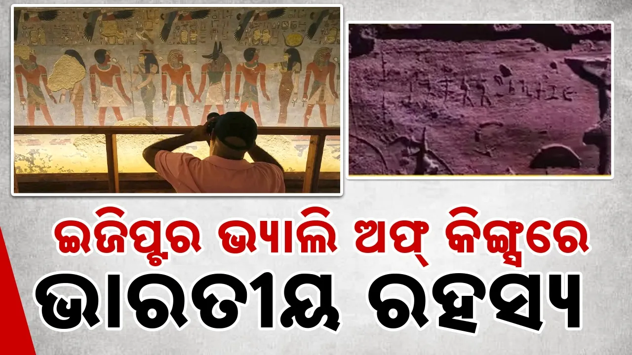  Photograph: (google) 