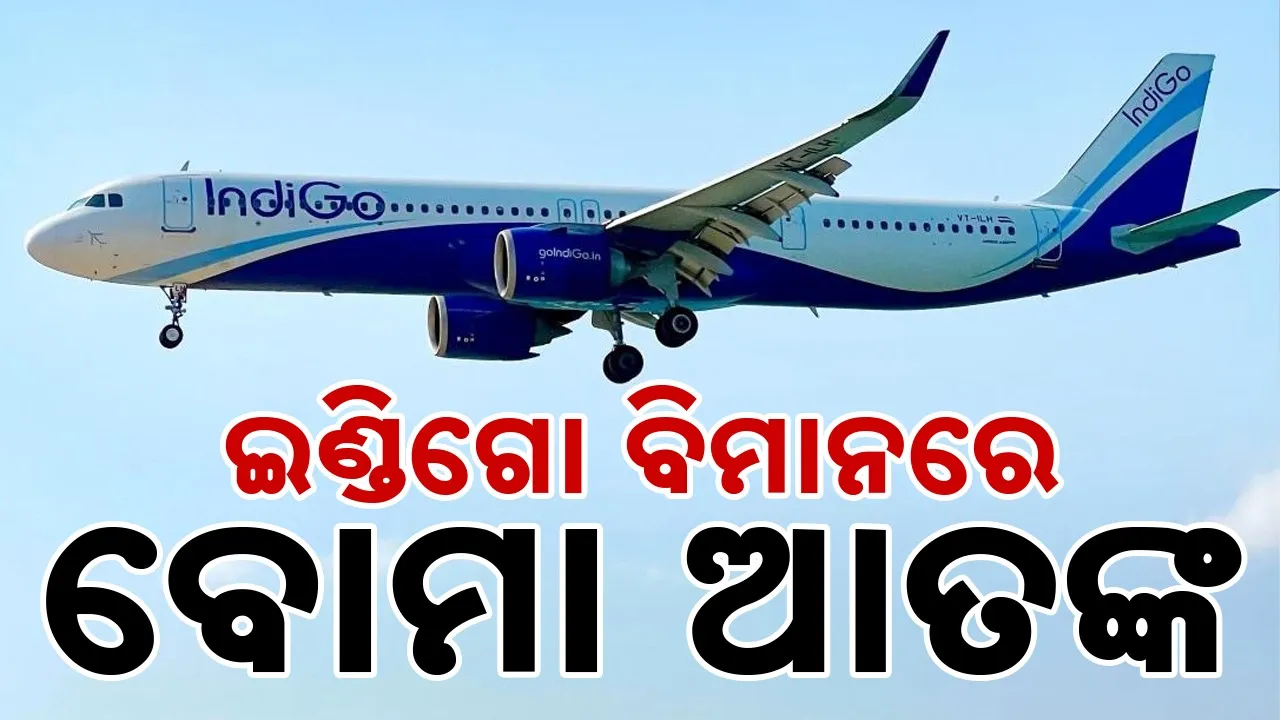  Photograph: (google) 