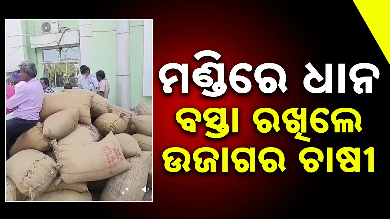  Paddy: ଚାଷୀଙ୍କ ଦାବି: କଟଣୀ ଛଟଣୀ ହେଉ ପଛେ ଧାନ ବିକ୍ରି ହୋଇଯାଉ