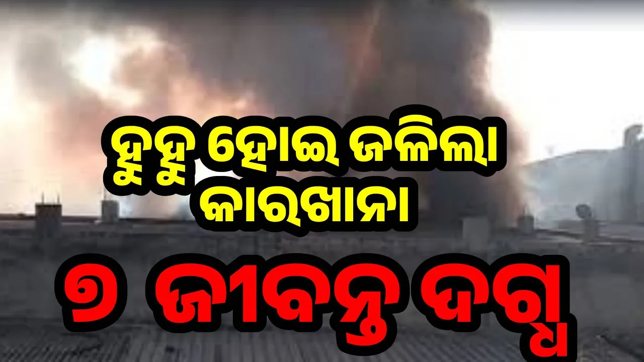  rajasthan-bhiwadi-chemical-factory-fire-breaks Photograph: (@sambad.in) 