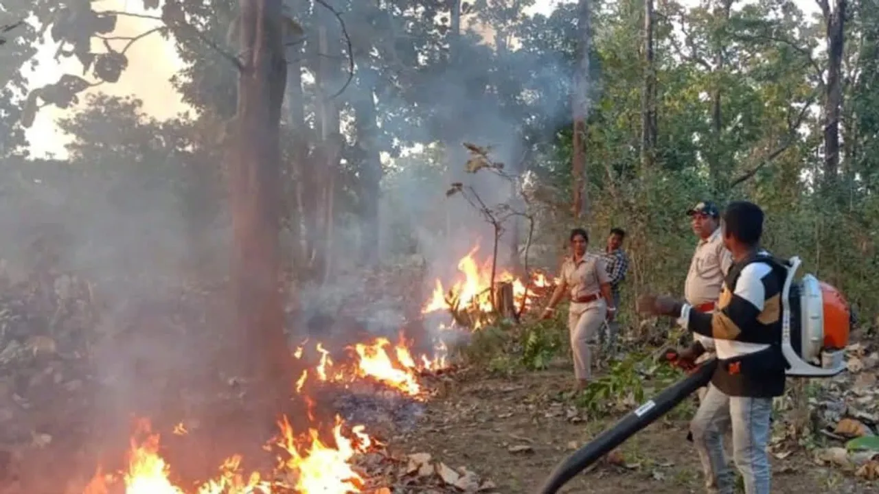  Forest protection concerns: ତିନି ଜିଲ୍ଲାର ଜଙ୍ଗଲ ସୁରକ୍ଷା ଚିନ୍ତା:ଜଙ୍ଗଲ ନିଆଁ ରୋକିବେ ୬୫୩ ସ୍କ୍ବାଡ୍