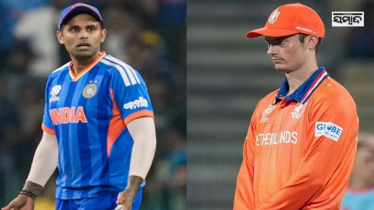  IND vs NED Photograph: (sambad.in) 