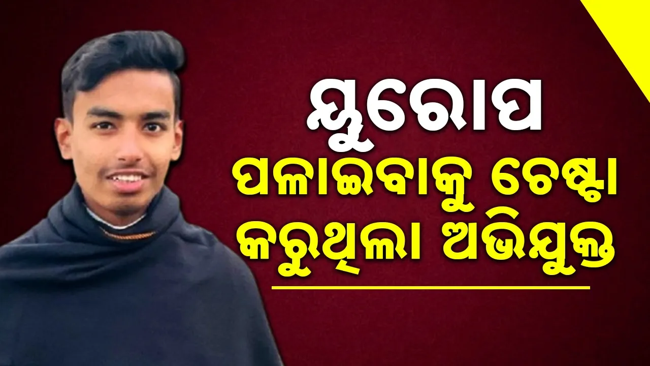  Photograph: (google) 