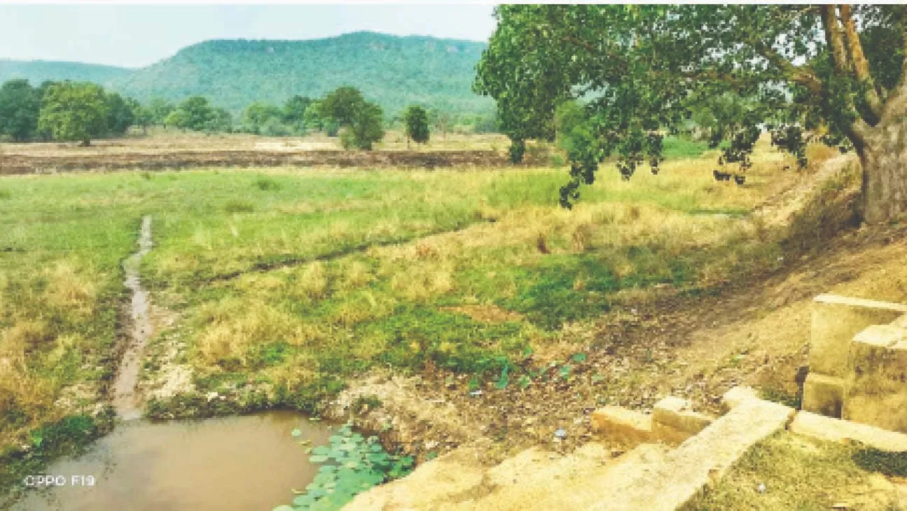  Development halted: ଖଣି ପାଇଁ ଅଟକିଗଲା ବିକାଶ