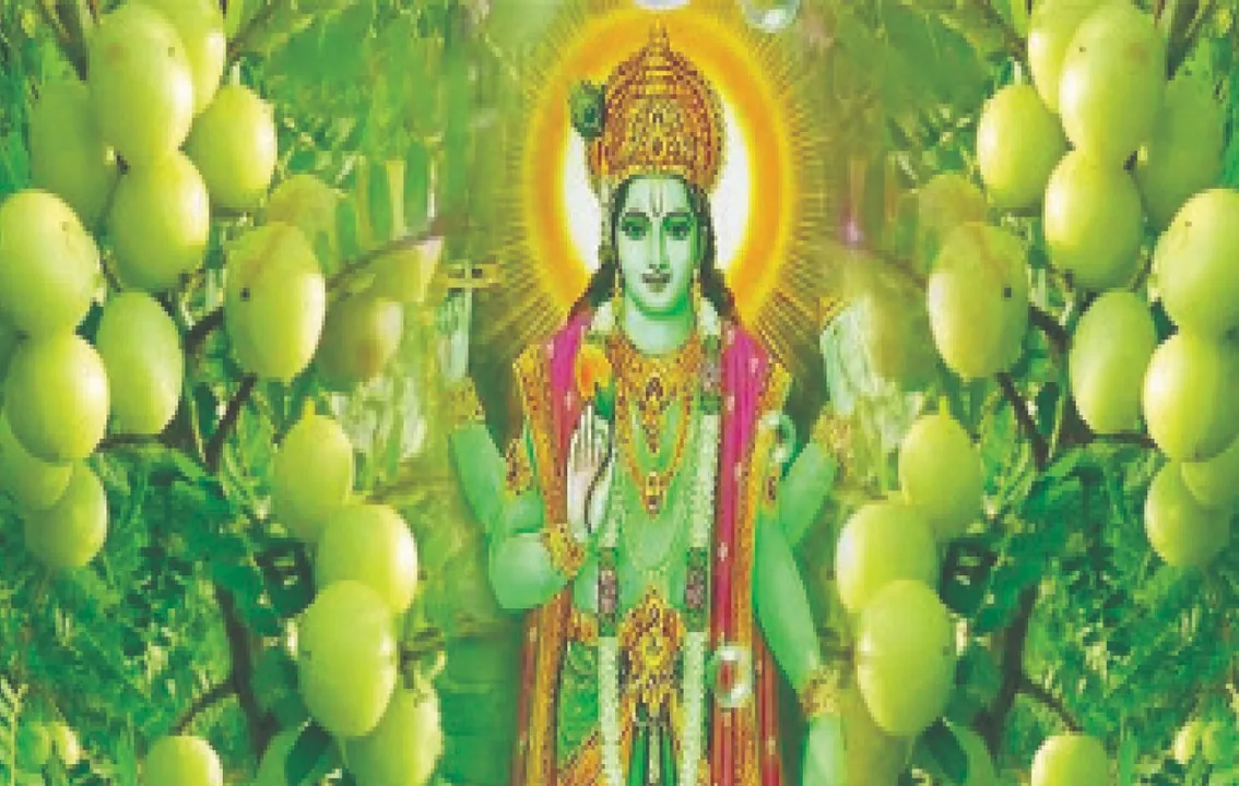  The name of Ekadashi: ଏକାଦଶୀର ନାଆଁ ଆମଳକୀ