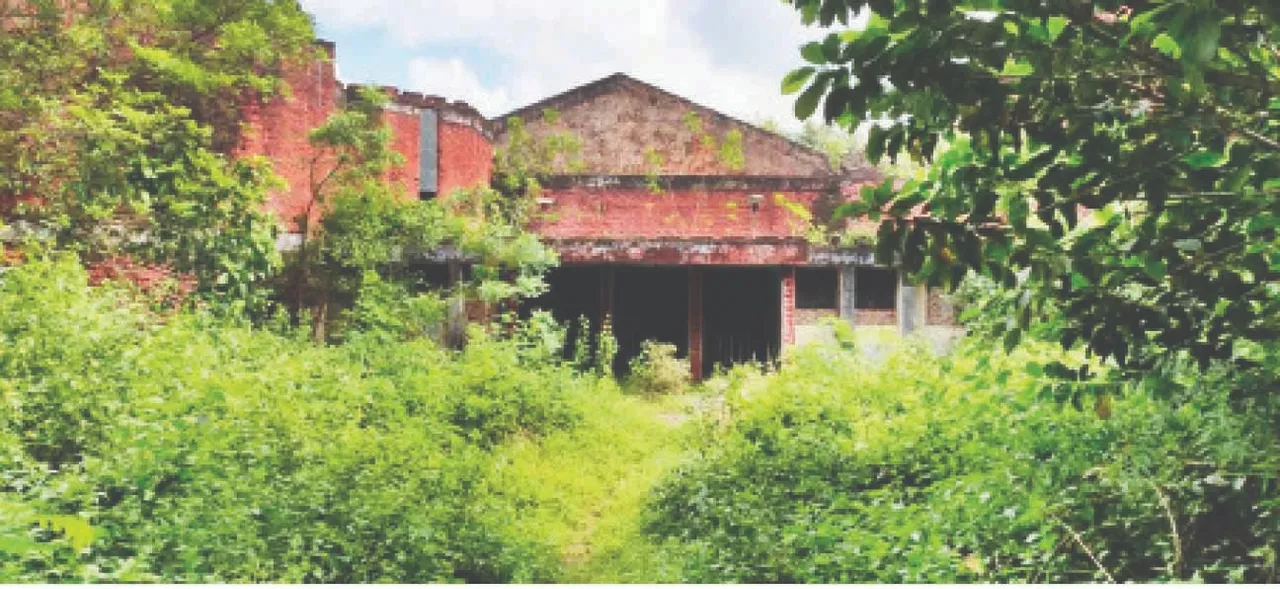  The intestines: ଅନ୍ତୁଡ଼ିଶାଳରେ ଲୋପ ପାଇଯିବ ଖଣ୍ଡୁଆପାଟ!