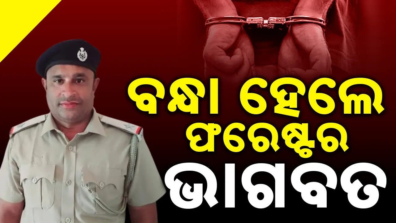  Forester Bhagabat bhusan Behera arrested by Odisha Vigilance Photograph: (sambad.in) 