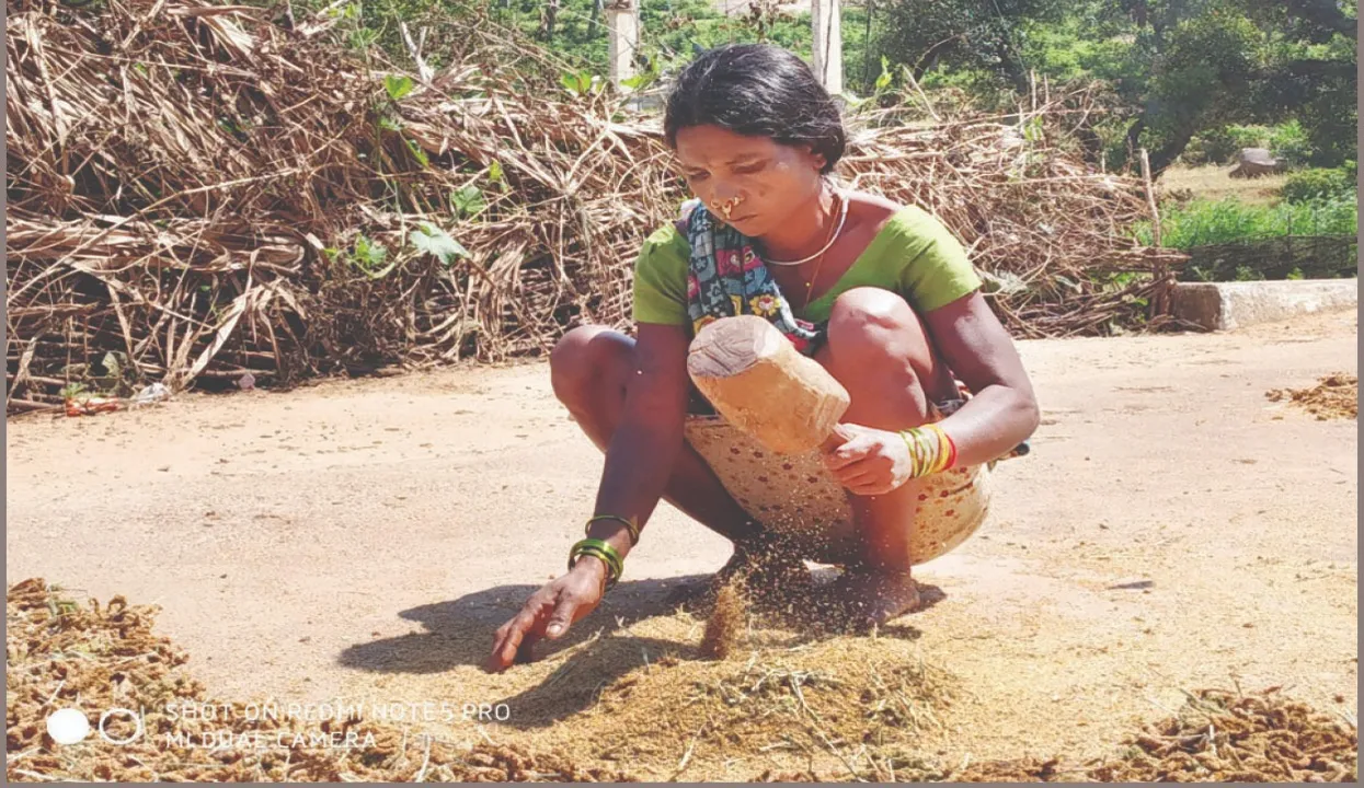  Babu made a mistake: ଭୁଲ୍‌ କଲେ ବାବୁ, ହକ୍‌ ହରାଇଲେ ଝୋଡ଼ିଆ: ଆଦିବାସୀ ମାନ୍ୟତା ହରାଇ ଦୁର୍ଦ୍ଦିନରେ, ୧୯୯୭ରୁ ନିରନ୍ତର ଚାଲିଛି ଲଢ଼େଇ