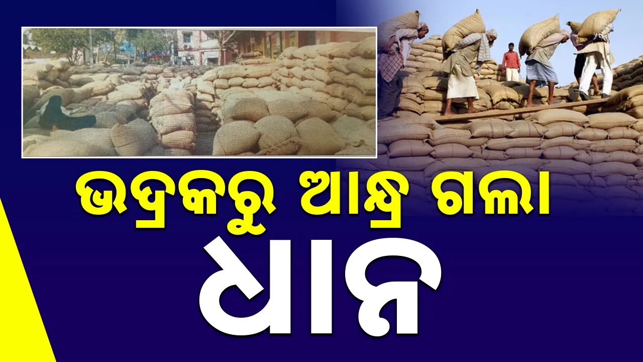  Paddy: ମଣ୍ଡି ଉପରେ ଭରସା ନାହିଁ! ଆନ୍ଧ୍ର ବେପାରୀଙ୍କୁ ଧାନ ଟେକିଦେଲେଣି ଚାଷୀ