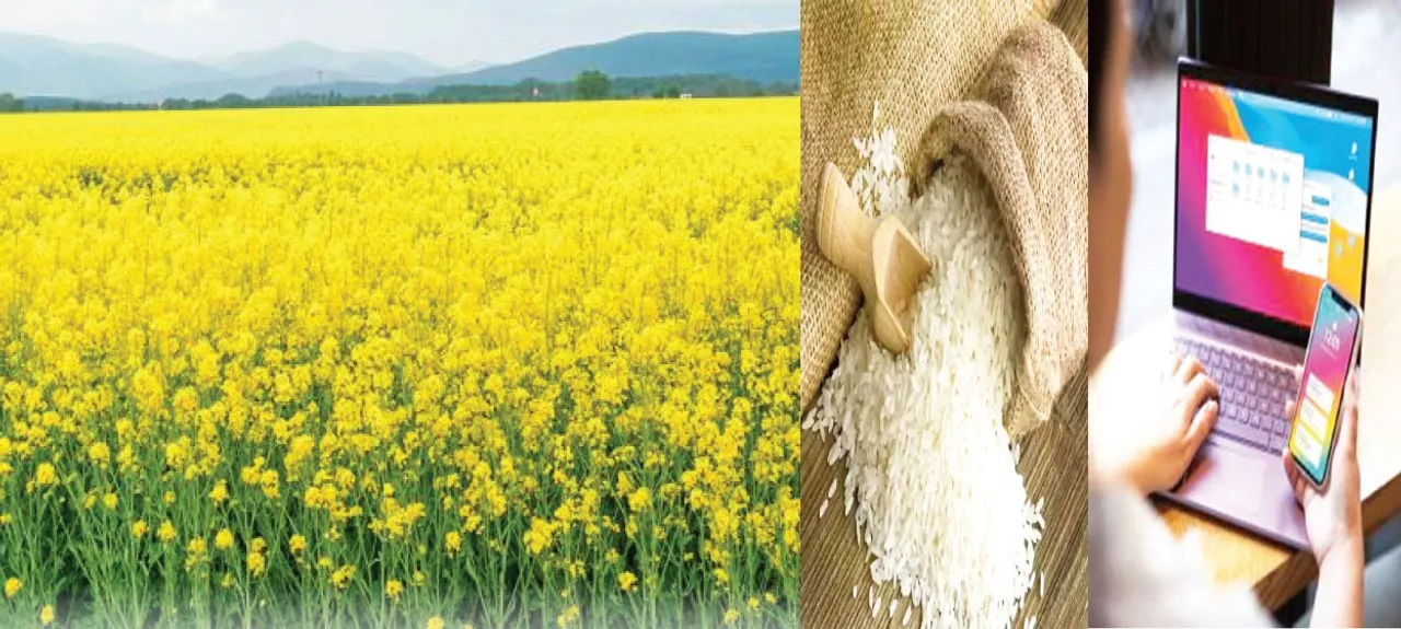  Villages and farmer: ବିକାଶ ଅପେକ୍ଷାରେ ଗାଁ, ଚାଷୀ: ତୈଳବୀଜ ଉତ୍ପାଦନରେ ପଛୁଆ, ୧୦୦ରୁ ୩୭ ଜଣଙ୍କ ପାଖରେ ନାହିଁ ଇଣ୍ଟରନେଟ୍‌