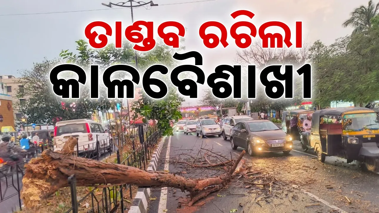  Rain: ଭୁବନେଶ୍ବରରେ କାଳବୈଶାଖୀ: ହୋର୍ଡିଂ ଭୁଶୁଡ଼ି ଜଣଙ୍କର ମୃତ୍ୟୁ, ଝଡ଼-ବର୍ଷାରେ ଗଛ ଭାଙ୍ଗିଲା