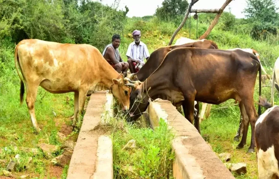  Village: ଗାଁରୁ ହଜିଯାଉଛି ଗୋଚର